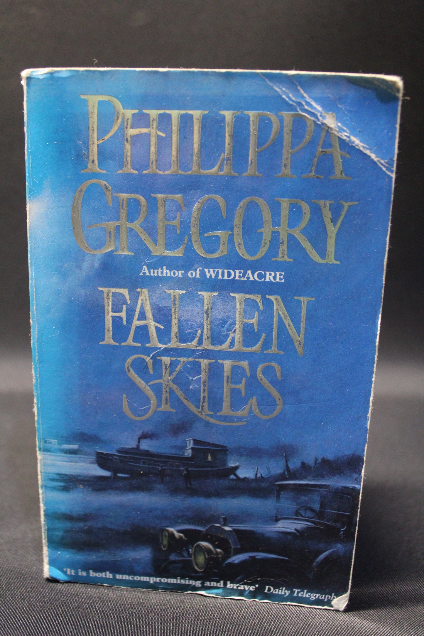 Fallen Skies [Second Hand]