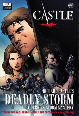 Castle: Richard Castle's Deadly Storm [Second Hand]